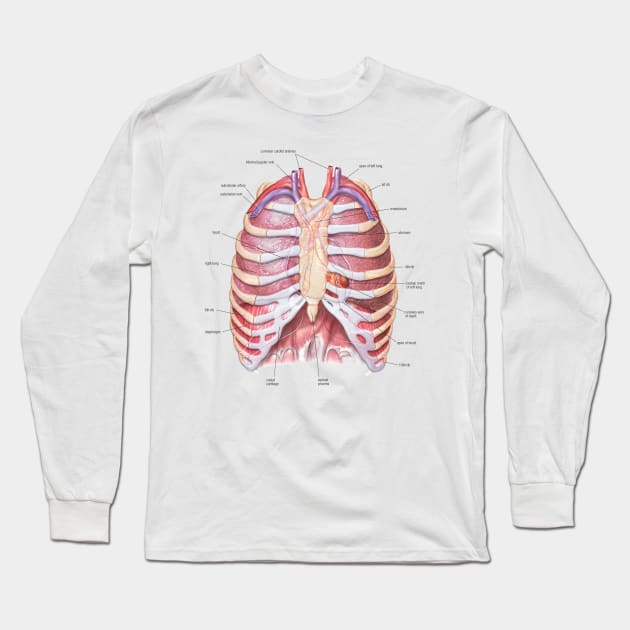 Chest Anatomy - Human Body Long Sleeve T-Shirt by Bugsponge